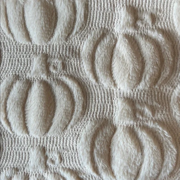 Elegant Pumpkin Cream Accent Pillow Case x2 NWT - Picture 4 of 7